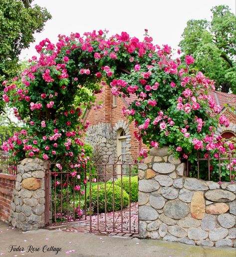 Front Yard Arch Entrance, Rose Garden Inspiration, Hobbit Garden, Spanish Garden, Rose Trellis, Small Vegetable Gardens, Brick Garden, Dream Life House, Climbing Rose