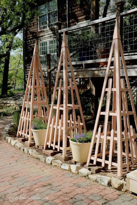 Three French Country Trellis Tuteurs in a Narrow Flower Garden ~ gorgeous trellis from Judith at Botanic Bleu.  #jardin #gardening #trellis #shareyourstyle Creeper Trellis, French Trellis, Outdoor Trellis Ideas, Pumpkin Trellis, Cattle Panel Trellis, French Ethereal, Wrought Iron Trellis, Arbor Garden, Spanish Lavender