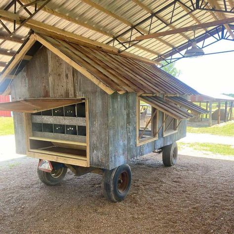 Diy Chicken Coop Ideas, Chicken Coop Ideas, Mobile Chicken Coop, Walk In Chicken Coop, Small Chicken Coops, Chicken Barn, Portable Chicken Coop, Chicken Pen, Chicken Tractors