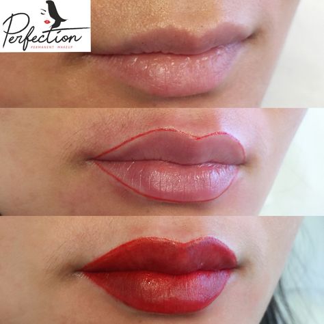 Lip Blushing Tattoo Before And After, Lip Color Tattoo, Lip Job, Eyelash Lift And Tint, Lip Permanent Makeup, Lip Blushing, Permanent Makeup Eyeliner, Eyebrow Makeup Tutorial, Eyebrow Design