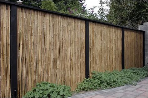 Bamboo Fence | HomeAdvisor Privacy Fence Decorations, Backyard Privacy Fence, Cheap Privacy Fence, Diy Privacy Fence, Small Pergola, Garden Fence Panels, Privacy Fence Designs, Cheap Fence, Cheap Backyard