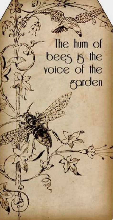 Vintage Bee, Bee Art, The Garden, Free Printables, The Voice, Bee, Signs, Tags