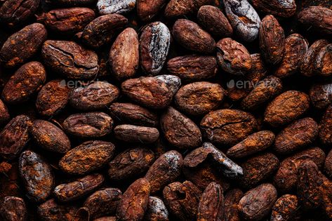 Cacao beans on plate closeup by Valeria_Aksakova. Raw cacao beans with cacao powder. Food background. #Affiliate #closeup, #Valeria_Aksakova, #plate, #Cacao Visual Guidelines, Cocoa Fruit, Cocoa Drink, Food Background, Cocoa Nibs, Cacao Beans, Food Backgrounds, Raw Cacao, Coffee Powder