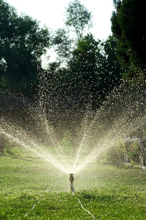 Irrigation Methods, Water Irrigation, Cute Professional Outfits, Sprinkler Irrigation, Big Photo, Irrigation System, Professional Outfits, Water Drops, Beautiful Photo