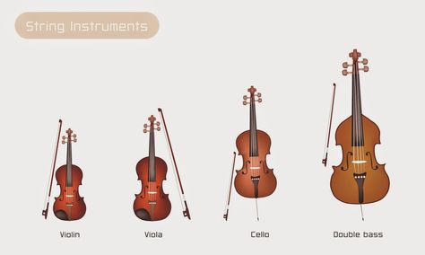 Little Children and the Instruments Of The Orchestra, Violin Family, Instrument Families, Family Tree Maker, Violin Songs, Music Study, Carnival Of The Animals, Violin Players, Violin Strings