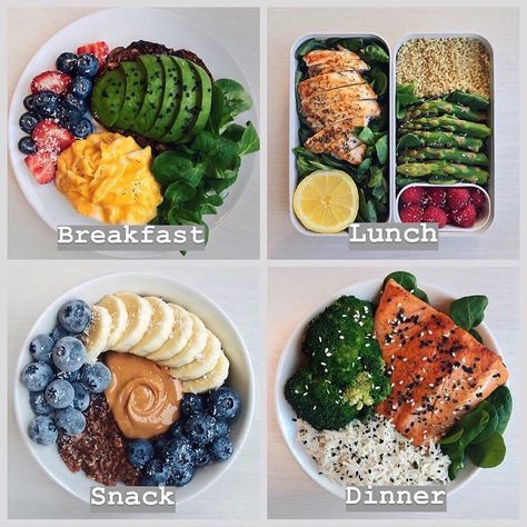 Healthy Food Prep 🌱🍳🥗🍝 on Instagram: “New Week Meal Prep inspo 🍱💫✨ *Swipe for Five delicious healthy meal plan ideas! Calories per day are 2000 on average. ...If you require…” Meal Plan Ideas, Healthy Meal Plan, Makanan Diet, Plan Ideas, Meal Prep For The Week, Healthy Meal Plans, Lunch Snacks, Healthy Meal Prep, Delicious Healthy Recipes