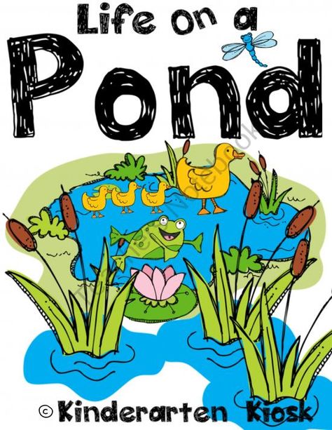 Life in a Pond: Thematic Common Core Essentials from Kindergarten Kiosk on TeachersNotebook.com (121 pages) Pond Activities, Pond Life Theme, Learning About Animals, Frog Activities, Pond Animals, Soil Conservation, Summer Themes, Educational Activities For Preschoolers, Frog Pond