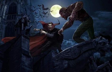 Werewolf Vs Vampire, Tomb Of Dracula, Werewolf By Night, The Werewolf, The Real Ghostbusters, Vampires And Werewolves, Universal Monsters, Classic Monsters, Character Poses