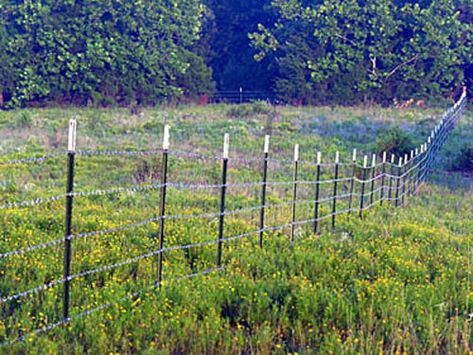 Barb Wire Fence Ideas, Barbed Wire Fence Ideas, Barb Wire Fence, Ranch Property, Barbed Wire Fence, Free Land, Fence Options, Barbed Wire Fencing, Earth Bag Homes