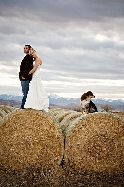 Hay Bale Wedding, Wedding Fotos, Barn Pictures, Country Barn, Hay Bales, Western Wedding, Photo Couple, Jolie Photo, Wedding Pics