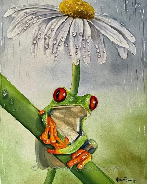 Watercolour Frog, Painted Frogs, Tree Frog Art, Cartoon Frogs, Frog Painting, Art Frog, Wildlife Painting, Frog Frog, Red Eyed Tree Frog