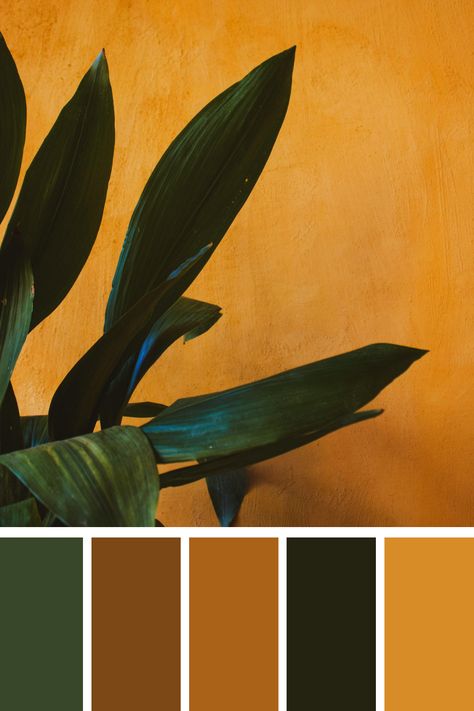 Earthy Green Leaf Against Orange Wall: The deep green of the leaf contrasts beautifully with the vibrant orange wall, creating a striking and earthy visual. Deep Earthy Color Palette, Color Scheme Generator, Earth Colour Palette, Elephant House, Tuscany Decor, Earth Tone Color Palette, Color Generator, Earth Tone Color, Earthy Green