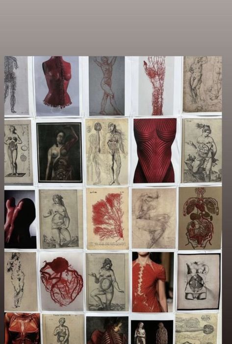 ❦ on X: "the moodboards behind sarah burton’s final collection for alexander mcqueen “ss24” https://t.co/38BfRMRS9F" / X Alexander Mcqueen Aesthetic, Alexander Mcqueen Runway, Queen Aesthetic, Sarah Burton, Stay With Me, Fashion Portfolio, Memento Mori, So Grateful, The Times