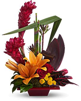 Teleflora's Tropical Bliss Flower Arrangement - Teleflora Tropical Floral Arrangements, Tropical Flower Arrangements, Dark Red Roses, Corporate Flowers, Modern Flower Arrangements, Blooming Plants, Flowers For You, Home Flowers, Modern Flower