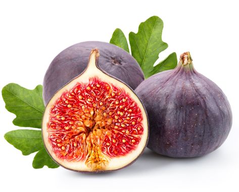 #summerfruitkids, #babyfood,#summerfoodkid,#bestsummerfruitsinfants,#summerfruits, #fruits #figs Health Benefits Of Figs, Fig Tart, Fig Fruit, Purple Fruit, Happy Farm, Fertility Boost, Fresh Figs, Fruit Seeds, Fruit Painting