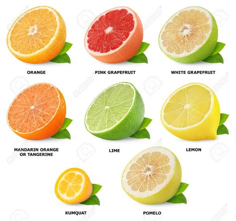 Collection of citrus fruits isolated on white Stock Photo - 16162266 Citrus Fruit List, Fruits And Vegetables List, Fruit Names, Fruit List, Food Vocabulary, Resep Salad, Food Infographic, Types Of Fruit, Fruit Photography