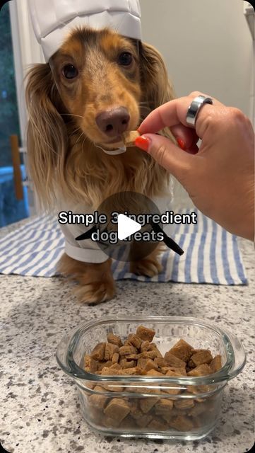 Recipe For Dog Treats, Puppy Recipes, 3 Ingredient Dog Treats, Dog Food Recipes Crockpot, Cook Dog Food, Dog Treats Homemade Easy, Easy Dog Treat Recipes, Dog Treat Recipe, Animal Stamps