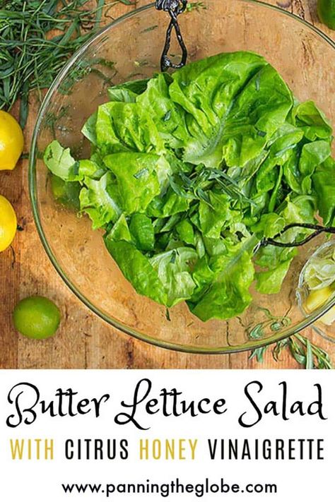 This butter lettuce salad is simple but special. Tender Bibb lettuces tossed in a bright, zesty citrus honey vinaigrette with lemon, lime, honey and mustard #ButterLettuce #CitrusVinaigrette #BibbLettuce #SummerSaladRecipe Butter Lettuce Salad, Lifestyle Improvement, Salad With Citrus, Amazing Salads, Honey Vinaigrette, Lettuce Recipes, Delicious Salad Dressings, Butter Lettuce, Moroccan Cooking