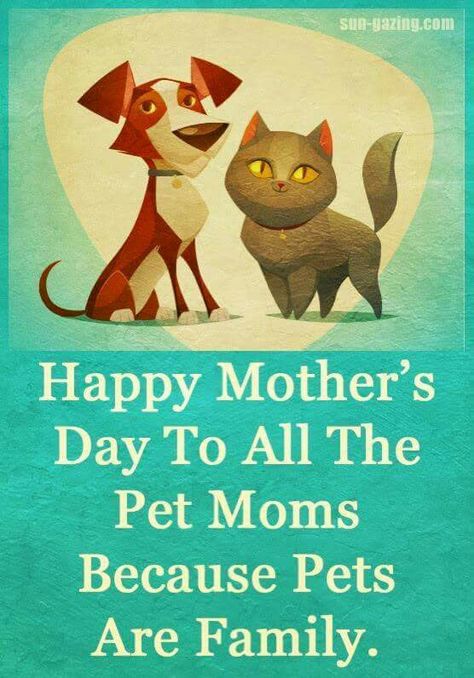 Happy Mothers Day to all the pet moms because pets are family. Thanksgiving Crafts For Babies, Thankful Crafts, Crafts For Babies, Handprint Tree, Craft Thanksgiving, Happy Mothers Day Pictures, Dog Mom Quotes, Dog Mothers Day, Happy Mom Day