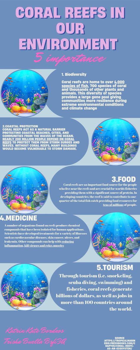 Types Of Coral, Oceanography Marine Biology, Biology Worksheet, Science Words, Biology Facts, High School Life Hacks, Coral Garden, Coral Art, Oceanography