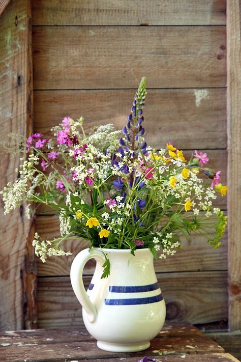 Wild Flower Corsage, Natural Flower Bouquet, Blue Willow Wedding, Jewel Tone Wedding Theme, Wild Flower Arrangements, Wildflower Wedding Theme, Bouquet Champetre, Summer Flower Arrangements, Flower Bucket