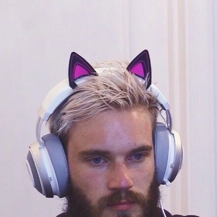 Felix Kjellberg, Youtube Gamer, Quality Memes, Pewdiepie, Markiplier, Tortillas, Reaction Pictures, Youtubers, Memes