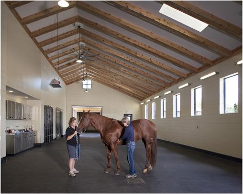 Hospital Floor Plan, Prefab Barns, Equine Veterinary, Concrete Masonry Unit, Barn House Kits, Stall Fronts, Barn Apartment, Barn Kits, Practical Lighting