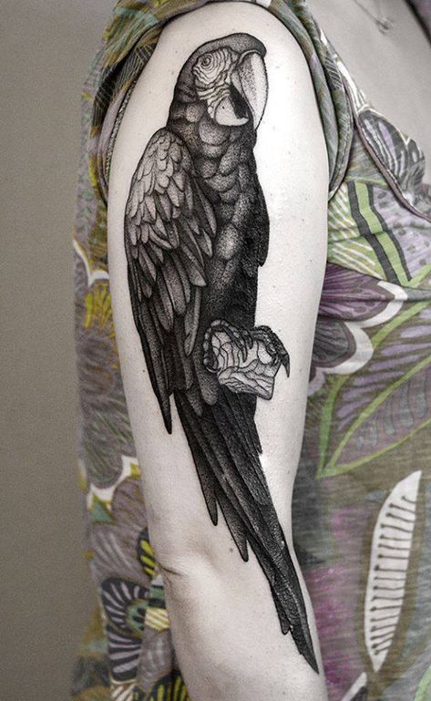 Parrot Tattoo, Tattoo Black And Grey, Tattoo Black And White, Beach Tattoo, Egyptian Tattoo, B Tattoo, Tattoo Black, Tattoo Project, White Tattoo