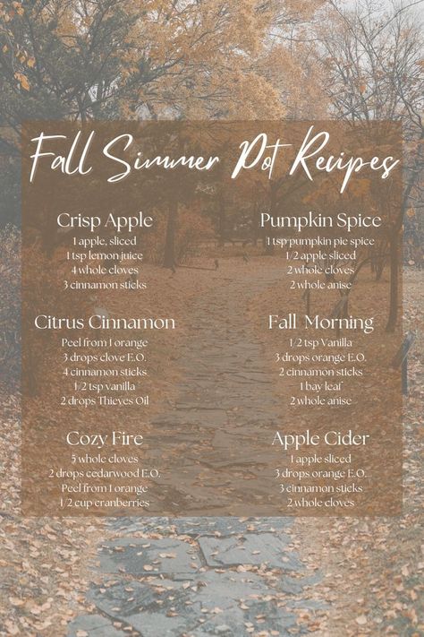 Fall Simmer Pot, Simmer Pot Recipes, Stove Top Potpourri, Potpourri Recipes, Simmer Pot, Fall Menu, Essential Oil Diffuser Blends Recipes, House Smell Good, Pot Pourri