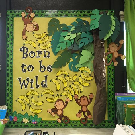 Jungle Theme Notice Board, Jungle Theme Kindergarten Classroom, Jungle Theme Infant Classroom, Jungle Room Theme Classroom, Jungle Bulletin Board Ideas Classroom Decor, Jungle Theme Birthday Wall For Classroom, Zoo Theme Classroom Decorations, Jungle Theme Classroom Activities, Safari Birthday Board Classroom