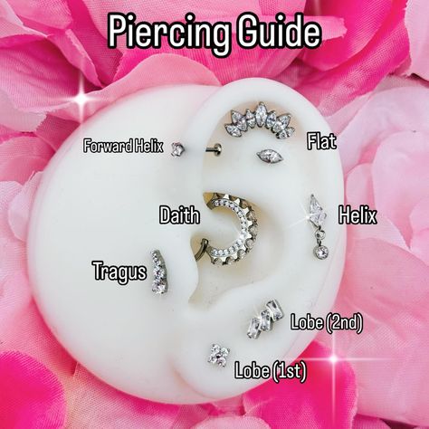 Piercing Guide www.PiercedBodyArt.co.uk #bodyjewelry #piercing Piercing Names, Forward Helix Piercings, Stacked Lobe, Piercings Tongue, All Piercings, Piercing Guide, Piercings Lip, Piercings Tragus, Piercings Earrings