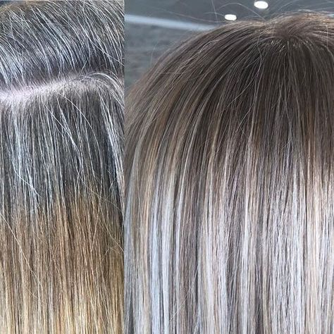 Angie | Florida Hair Stylist on Instagram: "Worked some magic today 🧚🏻‍♀️ bye bye grays and bands 👋" Silver Grey Highlights On Brown Hair, Ash Colored Hair, Grey Hair With Brown Lowlights, Light Brown Hair Shades, Florida Hair, Grey Brown Hair, Grey Blending, Brown Hair Inspiration, Grey Blonde Hair