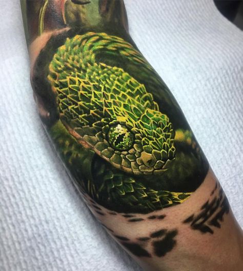 Bush Viper by Ben Kaye, an artist based in Orewa, New Zealand. Snake Tattoo Meaning, Tatuaje Trash Polka, Viper Snake, Scale Tattoo, Snake Tattoo Design, Octopus Tattoo, Diy Tattoo, Best Tattoo Designs, Snake Tattoo