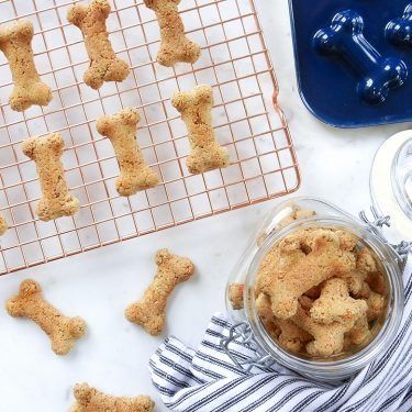 Recipes - Page 16 of 67 - Nordic Ware Dog Treat Aesthetic, Dog Treats Photoshoot, Dog Treat Photoshoot, Dog Treat Photography, Dog Food Photography, Nordicware Recipes, Dogs Photoshoot, Bacon Dog Treats, Bacon Dog