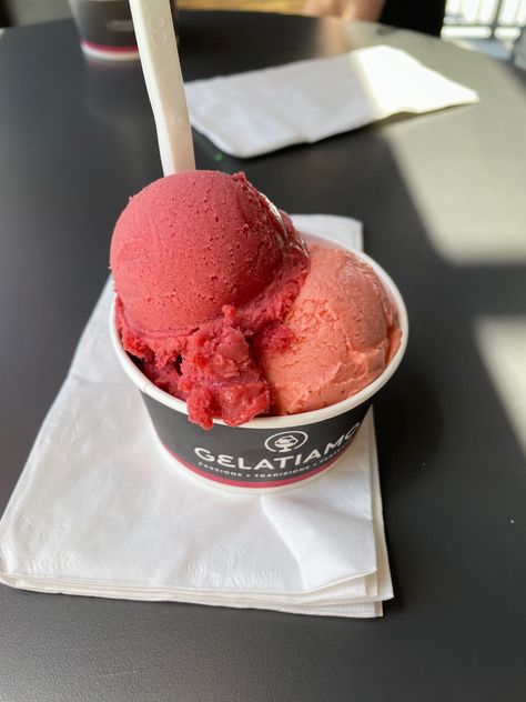 Sorbet Aesthetic, Leo Lilith, Watermelon Sorbet, Sorbet Ice Cream, Sorbet Recipes, Cream Aesthetic, Food Dessert, I Want To Eat, Beach Picnic