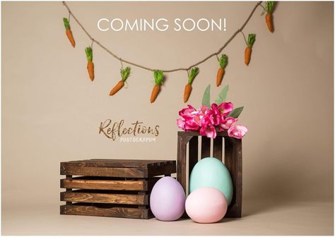 Easter Studio Mini Session, Easter Studio Photography, Easter Mini Session Indoor, Easter Photography Ideas Mini Sessions, Easter Minis Photography, Easter Photoshoot Ideas, Easter Photography Ideas, Easter Props, Easter Baby Photos