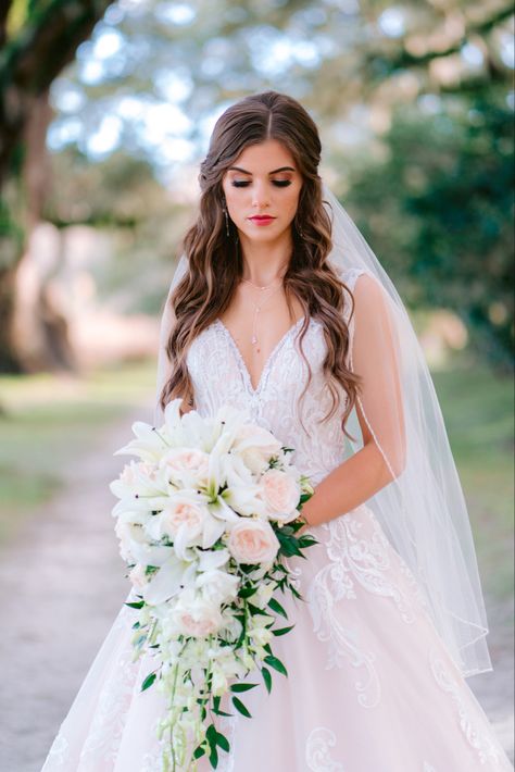 Bridal Hair Widows Peak, Wedding Hairstyles For Ball Gown Dress, Half Up Hair With Tiara, Bride With Hair Down And Veil, Bridal Hairstyles Front Look, Bride Wedding Hair Down With Veil, Wedding Hairstyles V Neck Dress, Wedding Hair Brunette With Veil, Wedding Hairstyle Half Up Half Down With Veil And Tiara