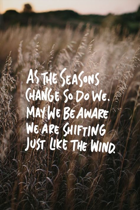 Welcome September, a season of transformation and change. More on The Fresh Exchange. | Season quotes, Fall season quotes, Seasons change quotes Seasons Change Quotes, Instagram Lyrics, People Change Quotes, Me Season, September Quotes, Welcome September, Season Quotes, Motivation Positive, Seasons Change