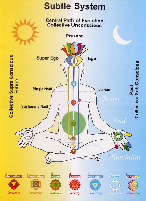 The Seven Chakras & 72 Lakh Nadis | AumShiva Nervus Vagus, Sahaja Yoga Meditation, Manipura Chakra, Sahaja Yoga, Yoga Kundalini, Kundalini Awakening, Latihan Yoga, Channeling Energy, Chakra System