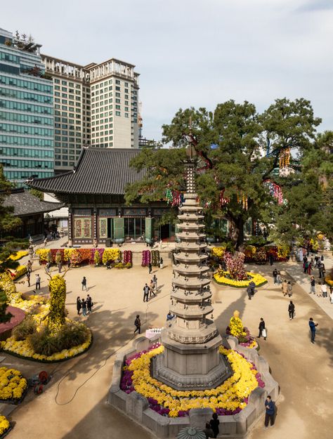 One of South Korea’s most important Buddhist temples, Jogyesa is an oasis of peace and tranquillity in bustling Seoul South Korea Temple, Jogyesa Temple, Korea Temple, Buddhist Temples, Han River, Top Places To Travel, Morning Post, South China, Buddhist Temple