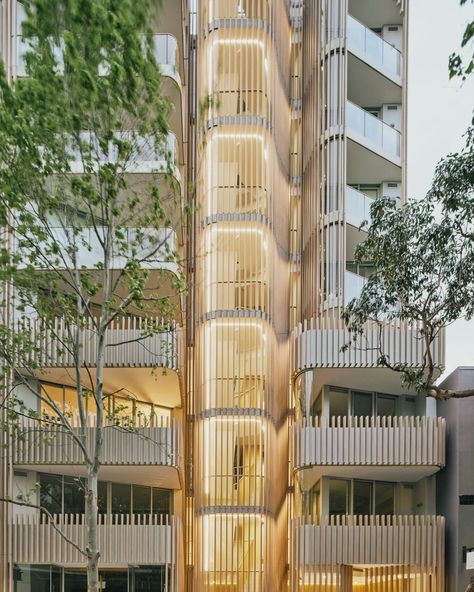 Image 15 of 16 of Tree Apartment | Koichi Takada Architects | Photograph by Bryn Donkersloot Koichi Takada, Shopping Centre, Shopping Center, Architects, Apartment, Photo And Video, Media, Photographer