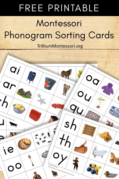 Free Printable Montessori Phonogram Sorting Cards Reading Homeschool, Montessori Printables, Montessori Elementary, Montessori Lessons, Early Reading Skills, Montessori Homeschool, Montessori Practical Life, Montessori Preschool, Montessori Math