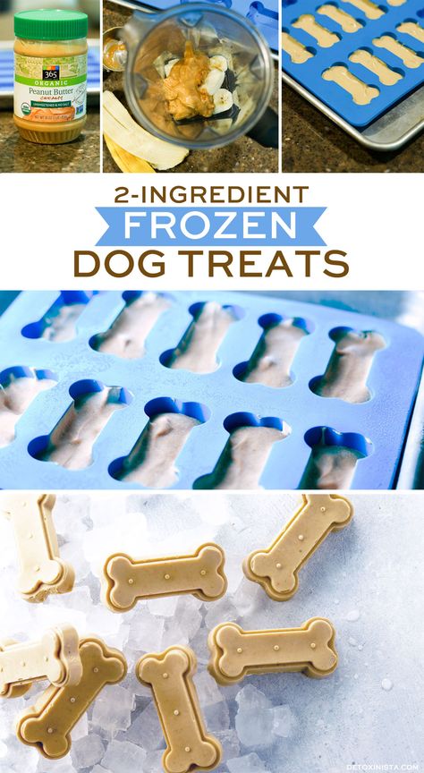 2-Ingredient Healthy Frozen Dog Treats Diy Dog Food, Frozen Dog Treats, Dog Biscuit Recipes, Easy Dog Treats, Healthy Dog Treats Homemade, Dog Treats Homemade Recipes, Frozen Dog, Diy Dog Treats, Puppy Treats