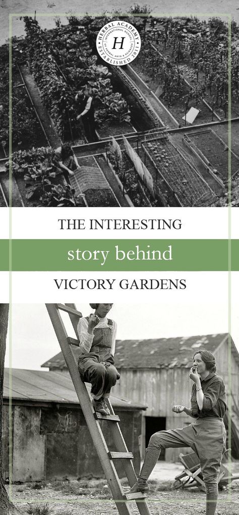 Garden Unit Study, High School American History, Victory Gardens, Herbal Academy, Garden Unit, Usa History, Interesting Story, Victory Garden, Commonplace Book