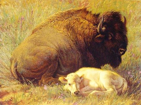 Ezra Tucker, Jackson Hole Art, Buffalo Animal, Bison Art, Buffalo Art, Cowboy Artists, Native American Images, Maritime Art, Representational Art