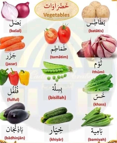 Arabic Vegetables, Madinah Arabic, Vegetables Name, Arabic Speaking, Learning Arabic For Beginners, Egyptian Arabic, Arabic Vocabulary, Arabic Verbs, Healthy And Unhealthy Food