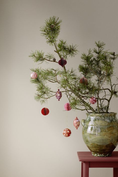 Large green stoneware pot with handles, shown with red paper baubles on spruce branches. Hand Painted Baubles, Painted Baubles, Spruce Branch, Hand Painted Bauble, Vase With Branches, Christmas Branches, Christmas Decor Inspiration, Red Paper, Christmas Box