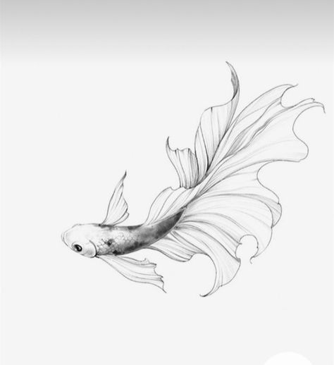 Guppy Fish Drawing, Japanese Koi Fish Drawing, Betta Fish Drawing, Beta Fish Tattoo, Koi Drawing, Fish Tattoo Design, Tattoo Fish, Tatoo Styles, Black Line Tattoo