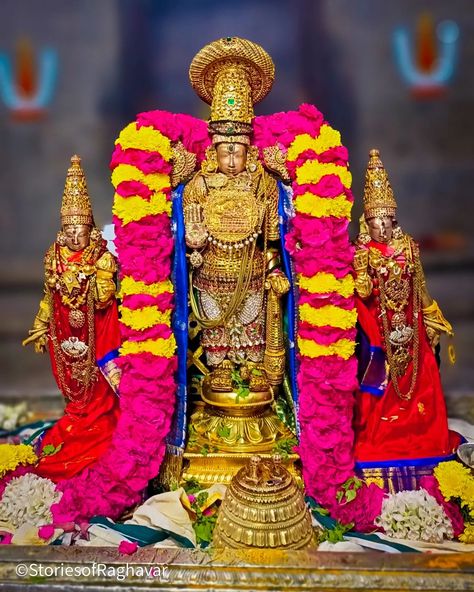 Lord Venkateswara Images Full Hd 4k, Bhagvan Wallpapers, Download Cute Wallpapers, Hindu Deities, Indian Gods, Girl Face, Beautiful Birds, Cute Love, Cute Wallpapers