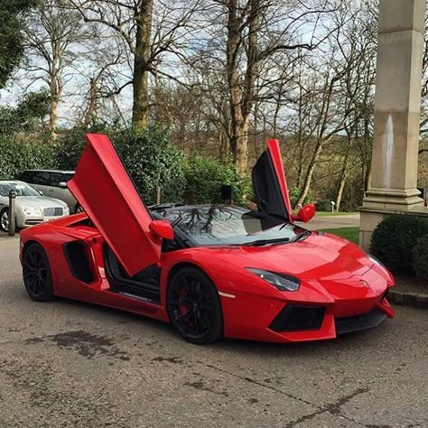 Red Lamborghini Aventador, Aventador Roadster, Carros Lamborghini, Lamborghini Aventador Roadster, Red Lamborghini, Workout Inspo, Top Luxury Cars, Lux Cars, Lamborghini Cars